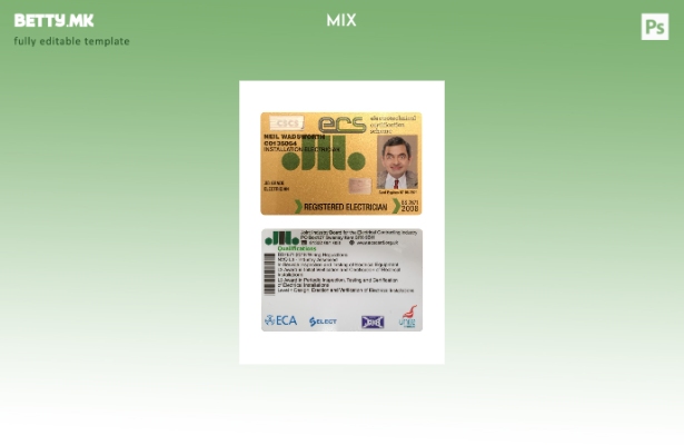 Модерен стил Шаблон за картичка за шема за електротехничка сертификација (ECS) н