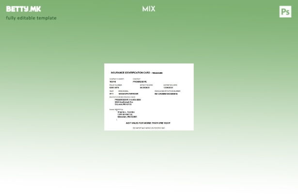 Модерен стил Шаблон за лична карта за осигурување на САД Мисури