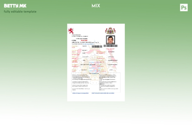 Модерен стил Шаблон за работна дозвола од Луксембург