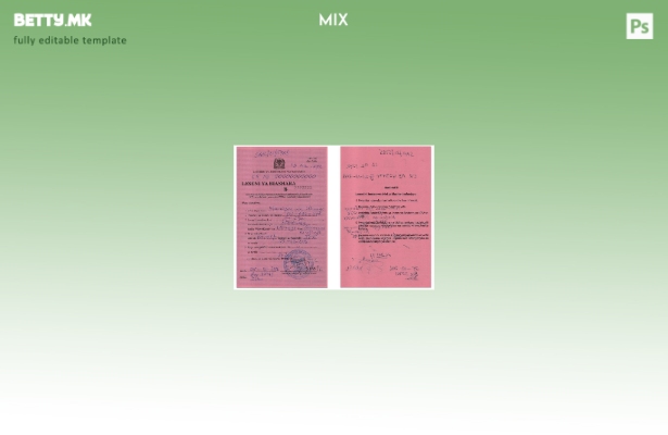 Модерен стил во Танзанија деловна лиценца ) шаблон