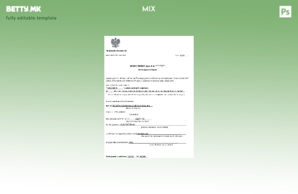 Модерен стил шаблон за работна дозвола Полска