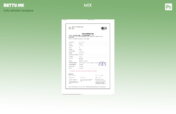 Модерен стил шаблон за работна дозвола на Малдивите