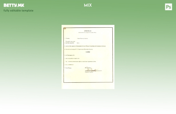 Модерен стил шаблон USA Apostille