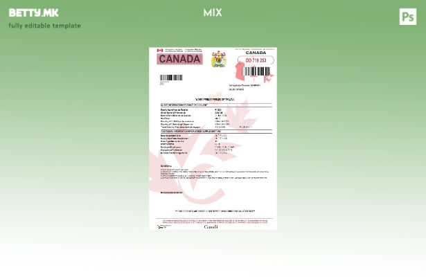 Модерен стил, шаблон за работна дозвола од Канада