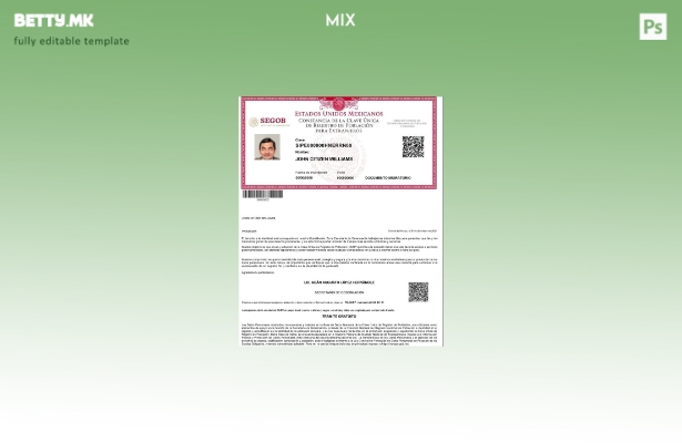 Шаблон за модерен стил Mexico Registro de Poblacion de Mexico (CURP број).