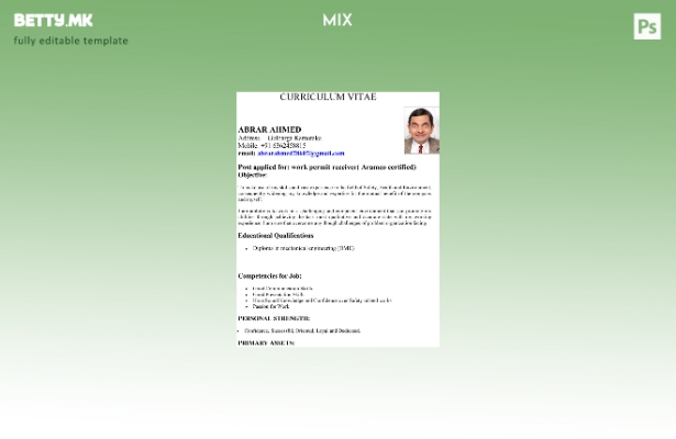 Шаблон за работна дозвола во Индија во модерен стил