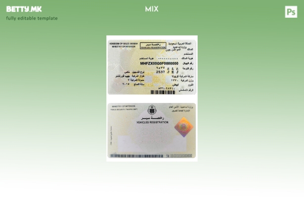 Шаблон за регистрација на возила во модерен стил на САУДИ АРАБИЈА