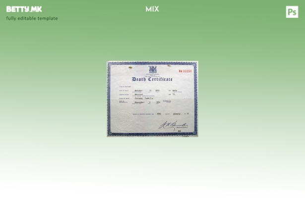 модерен стил САД Онтарио шаблон за уверение за смрт од витален статистички регис