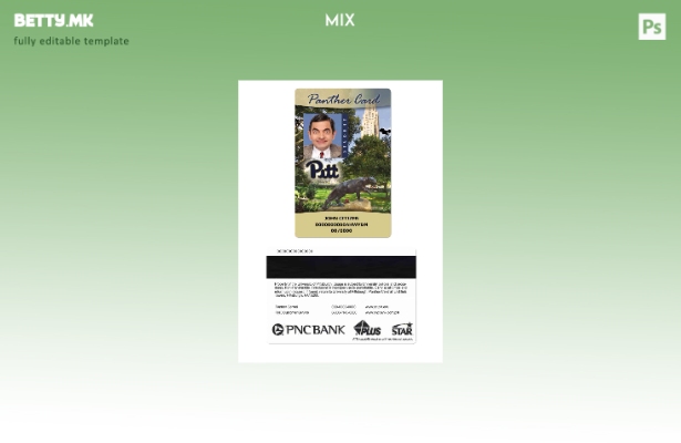 модерен стил САД Студентска лична карта на Универзитетот во Питсбург, шаблон за