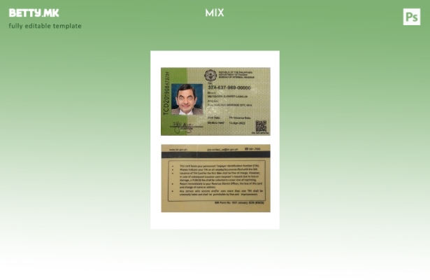 модерен стил Филипинско биро за внатрешни приходи ID присутен шаблон