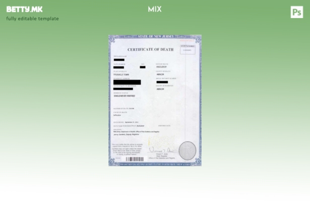 модерен стил на САД Канцеларијата за витална статистика и шаблон за уверение за