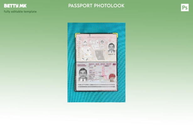 Модерен стил Белгиски пасош е присутен шаблон за фото изглед 1