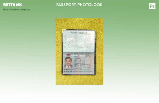 Модерен стил Белгиски пасош е присутен шаблон за фото изглед