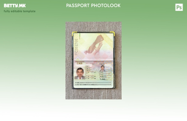 Модерен стил Гамбиски пасош присутен шаблон за фото изглед