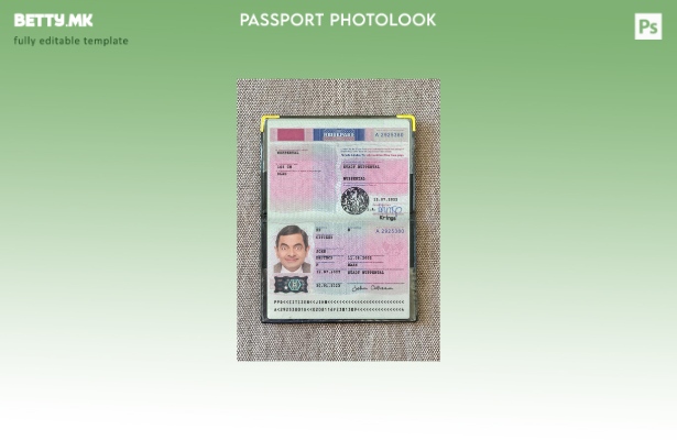 Модерен стил Германски пасош сегашен шаблон за фото изглед