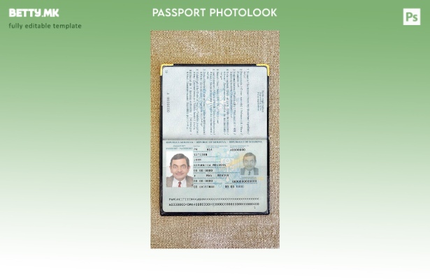 Модерен стил Молдавија помине шаблон фото изглед