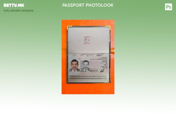 Модерен стил Палестински пасош присутен шаблон за фото изглед