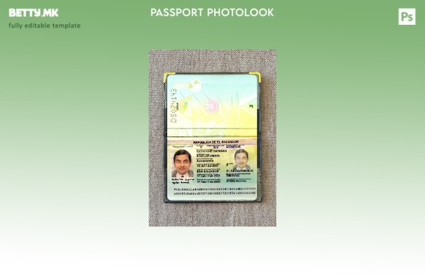 Модерен стил Салвадор пасош присутен шаблон фото изглед