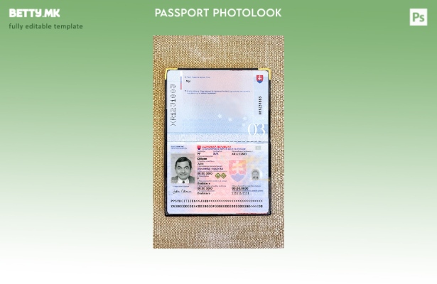 Модерен стил Словачки пасош присутен шаблон за фото изглед 1