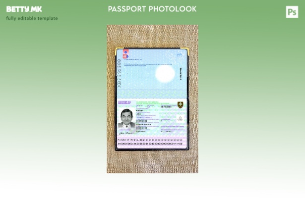 Модерен стил Словачки пасош присутен шаблон за фото изглед