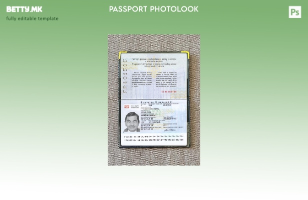 Модерен стил Украински пасош присутен шаблон за фото изглед