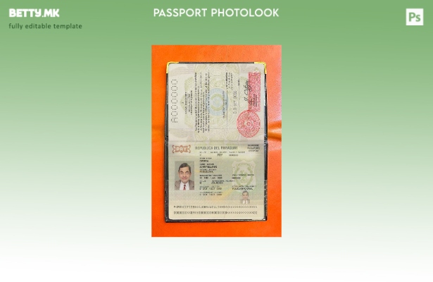 Модерен стил Шаблон за изглед на парагвајски пасош
