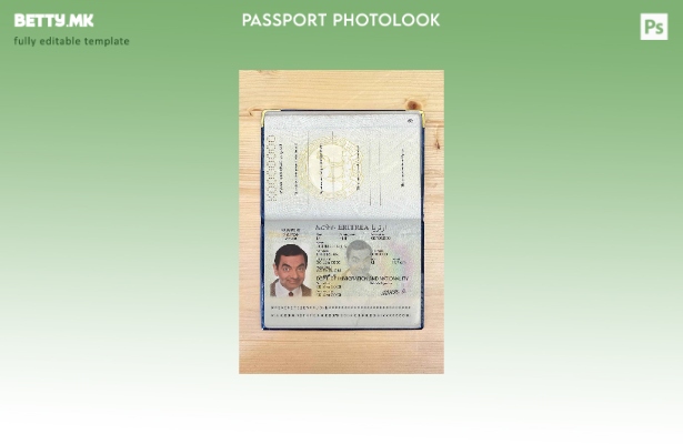 Модерен стил Шаблон за изглед на пасош на Еритреја