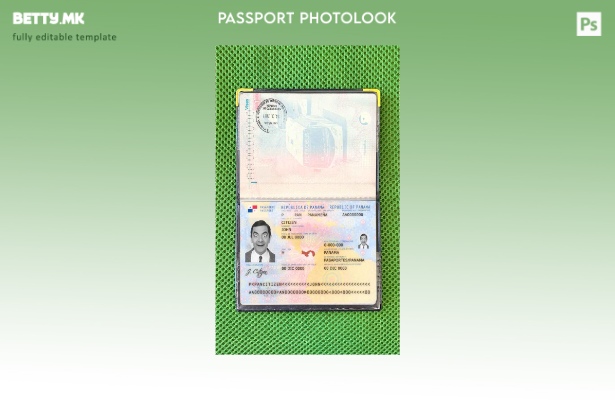 Модерен стил Шаблон за изглед на пасош од Панама