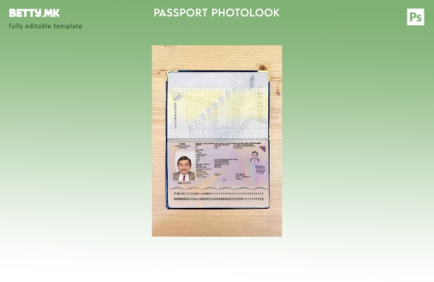 Модерен стил Шаблон за изглед на слика за пасош на Босна и Херцеговина