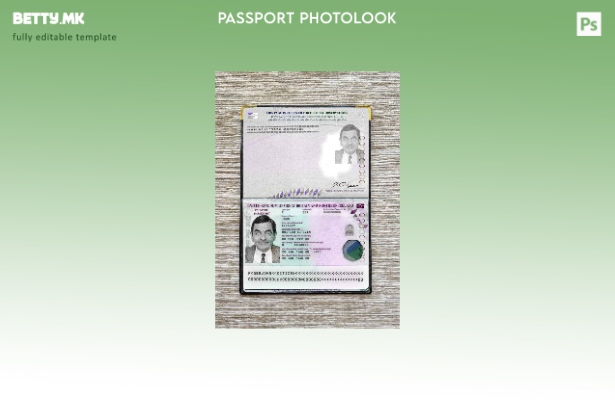 Модерен стил Шаблон за изглед на слика за пасош на Обединетото Кралство (сегашен