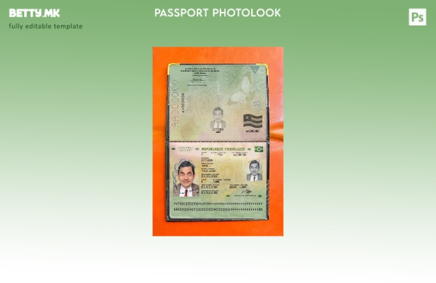 Модерен стил Шаблон за изглед на слика за пасош на Того