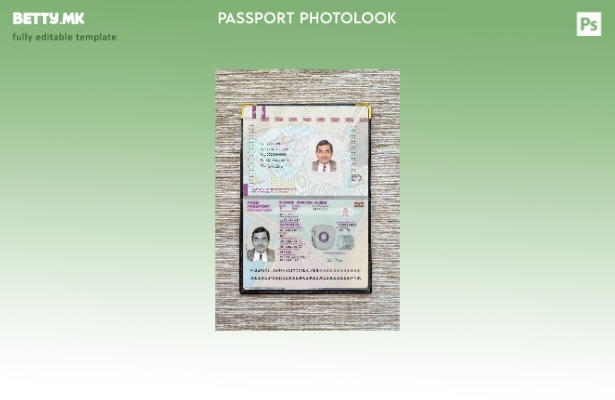 Модерен стил Шаблон за изглед на фотографија за верзија на пасош на Шведска