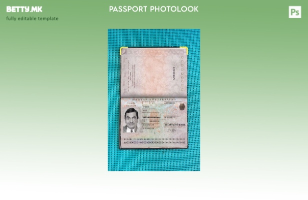 Модерен стил Шаблон за изглед на фотографија за пасош на Унгарија