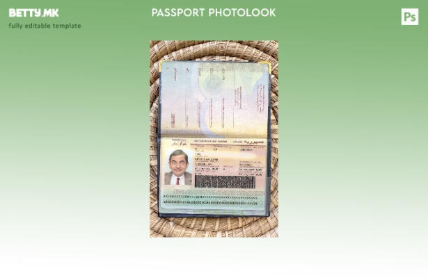 Модерен стил Шаблон за изглед на фотографија од пасош во Чад