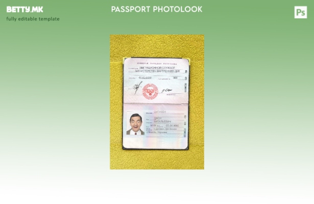 Модерен стил Шаблон за изглед на фотографија од пасош на Народна Република Донец