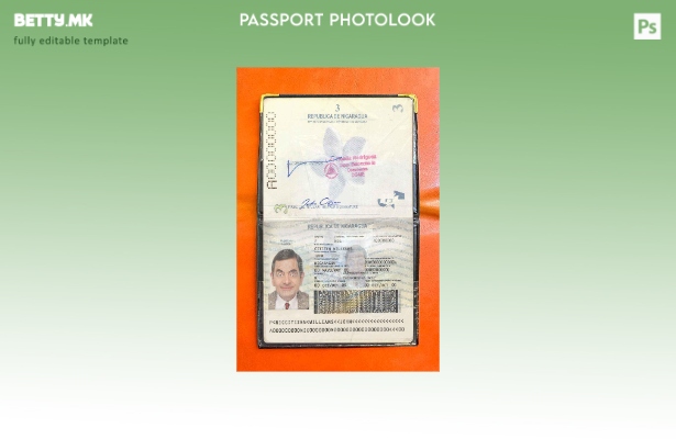 Модерен стил Шаблон за изглед на фотографски пасус Никарагва