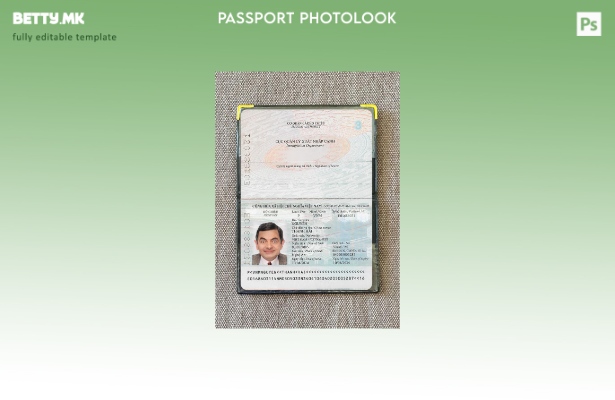 Модерен стил виетнамски пасош присутен шаблон за фото изглед