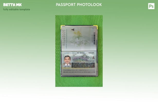 Модерен стил еквадорски пасош присутен шаблон за фото изглед