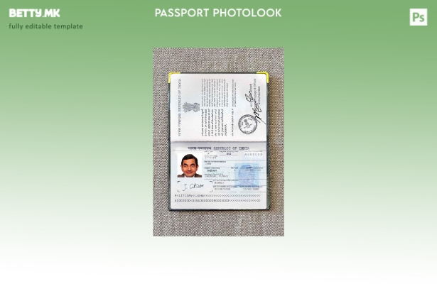 Модерен стил индиски пасош (сегашен) шаблон за фото изглед