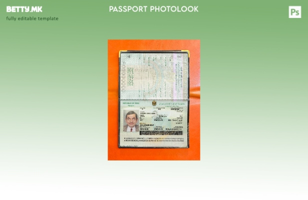 Модерен стил ирачки пасош присутен шаблон за фото изглед
