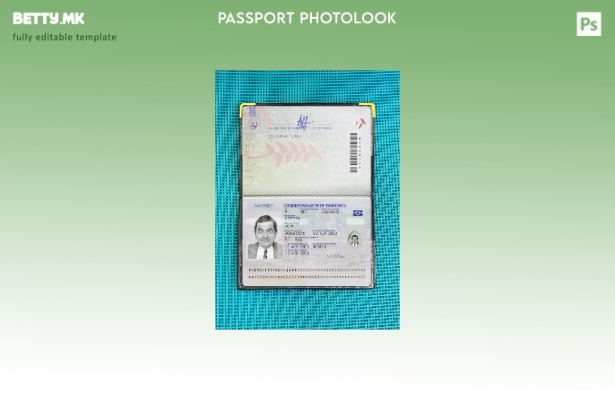 Модерен стил на Доминика пасош присутен шаблон за фото изглед