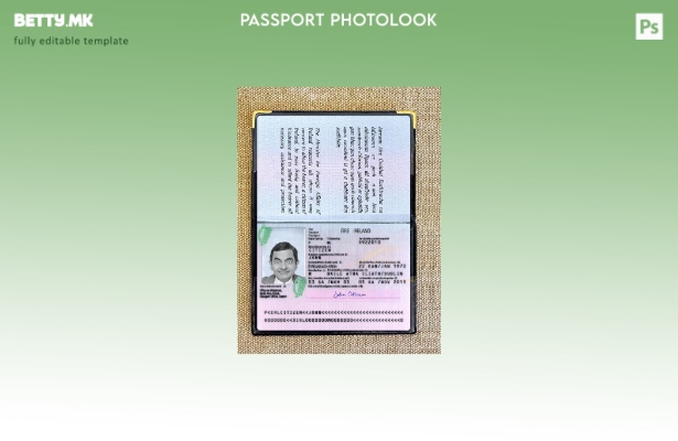 Модерен стил на Ирска верзија на пасош шаблон photolook