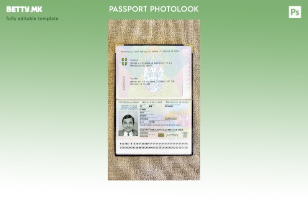 Модерен стил на Србија дипломатски пасош ( ) шаблон за изглед на фотографија