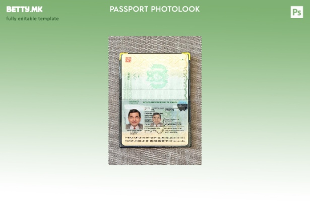 Модерен стил на боливискиот пасош прикачен шаблон за фото изглед