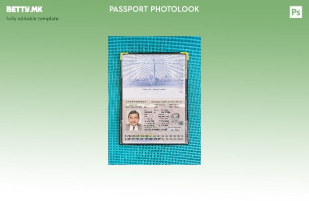 Модерен стил на корејски пасош присутен шаблон за фотоизглед