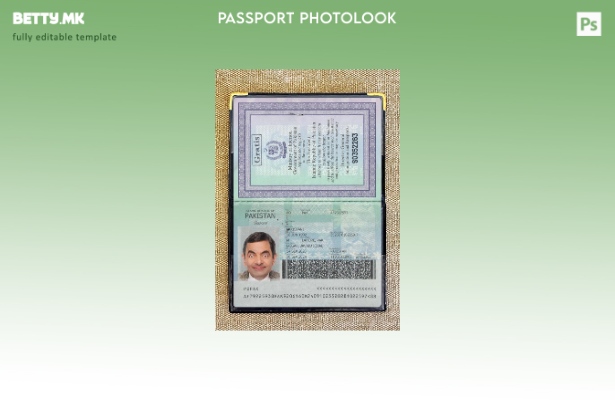 Модерен стил на пакистански пасош присутен шаблон за фото изглед