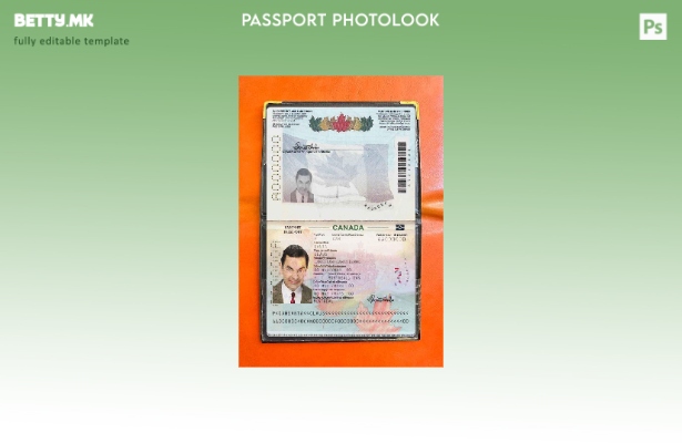 Модерен стил на шаблон за изглед на фотографија на канадски пасош (сегашен).