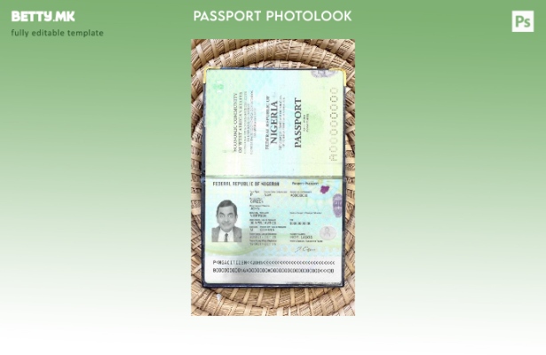 Модерен стил нигериски пасош (сегашен) шаблон за фото изглед