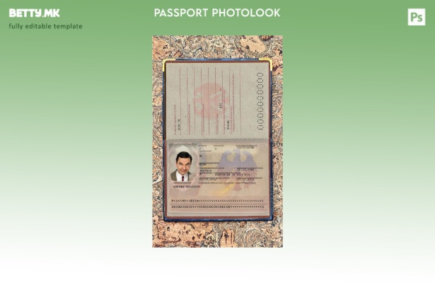 Модерен стил шаблон за изглед на слика за германски пасош ( ).