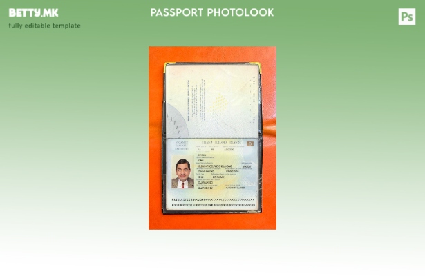 Модерен стил шаблон за изглед на фотографија на Исланд помине